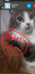 85347996907493669983.png