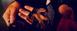 87656599038139416191.gif