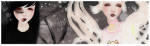 91288180059956112471.png