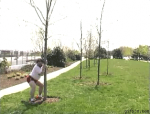 92047872359525072616.gif