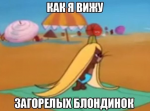 95894885807595160305.jpg