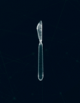 98683829725027916817.gif