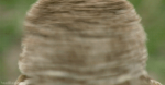 99957087820432941569.gif